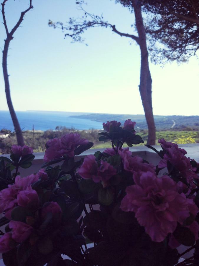 Villa Alda - Bilocali Vista Mare Santa Cesarea Terme Exterior foto