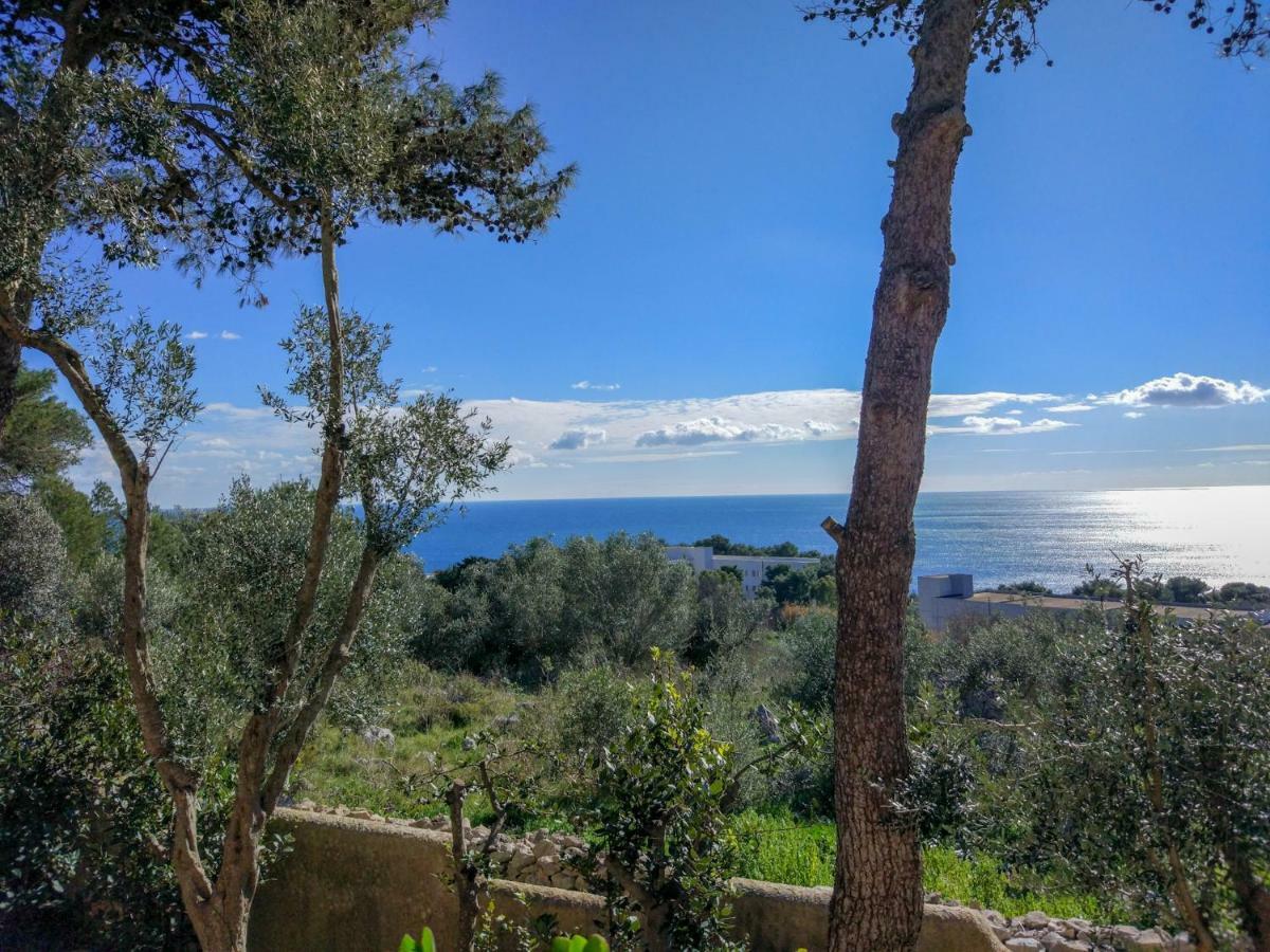Villa Alda - Bilocali Vista Mare Santa Cesarea Terme Exterior foto